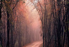 【城市文化】辽宁文化知识大全