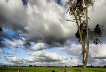 【城市文化】四川文化特色是什么?